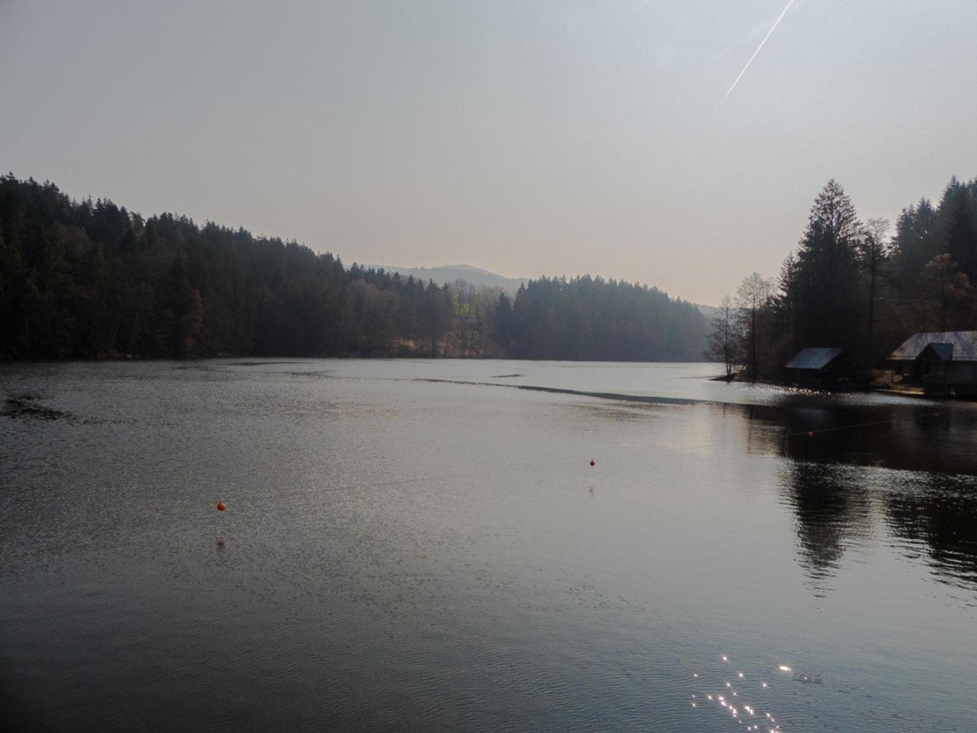 Ferienhaus Nr 11A2, Feriendorf Hagbuegerl, Bayr Wald วัลด์มึนเคน ภายนอก รูปภาพ